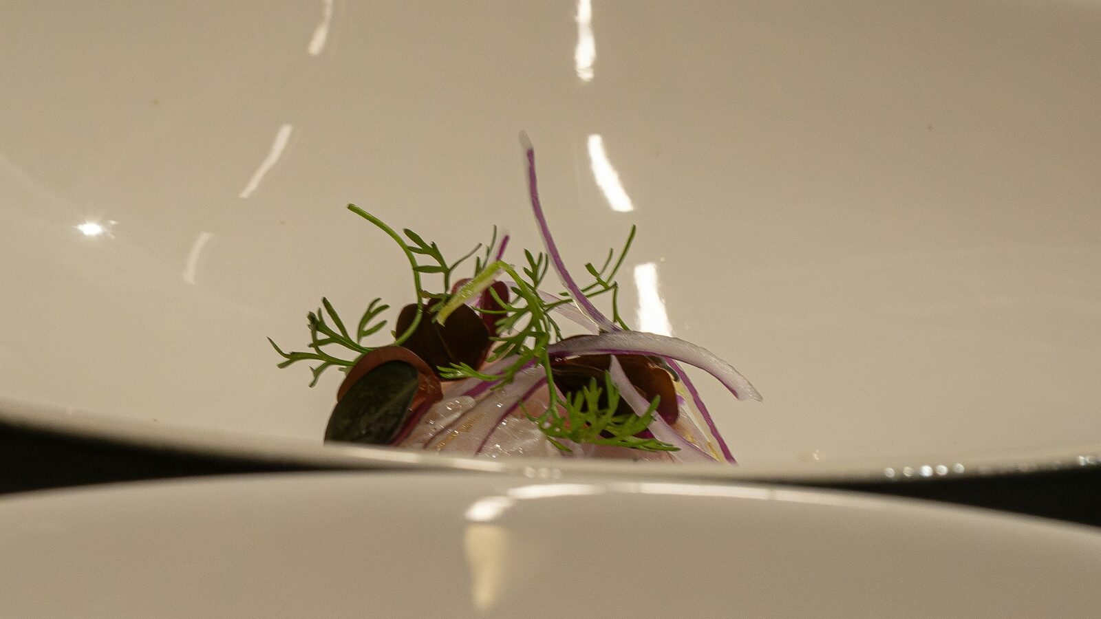 Prato fundo branco com uma porção pequena de peixe, cebola roxa e ervas.