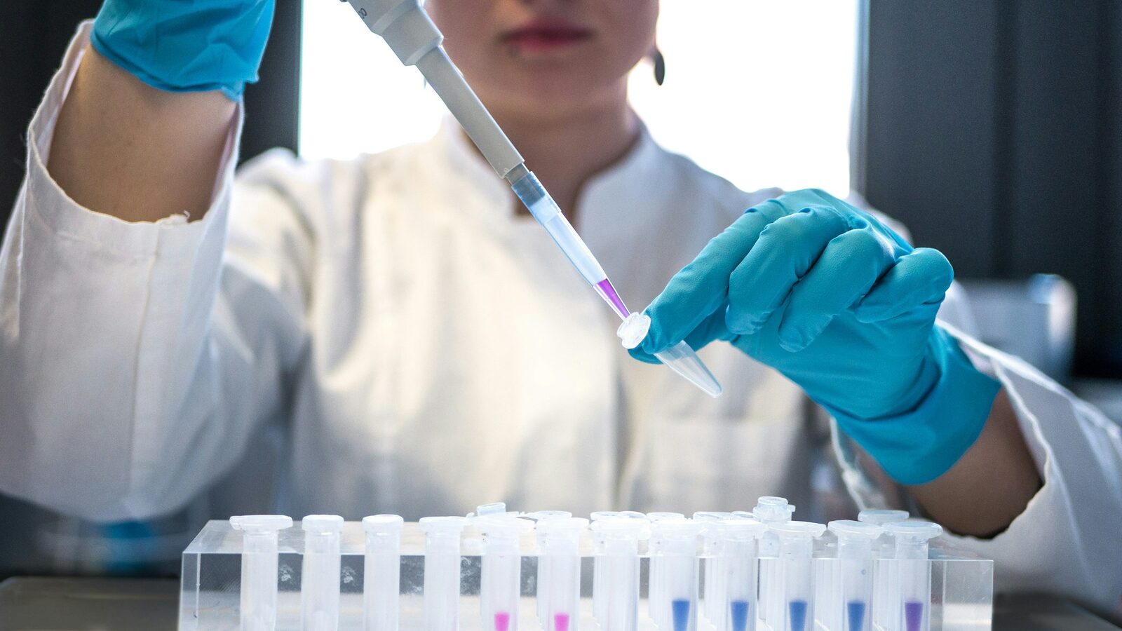 Técnica de laboratório pipetando amostras para uma fileira de tubos de ensaio.