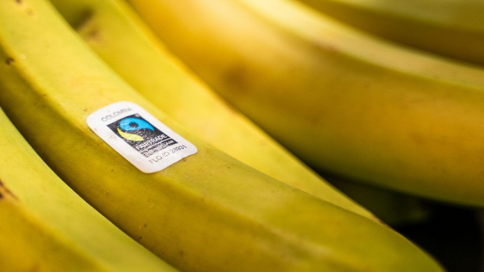 Selo de certificação colado em um cacho de bananas.